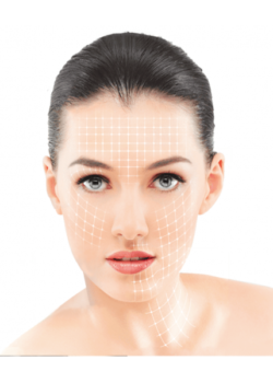 tratamiento-prolex-antiageing-reafirmante-1